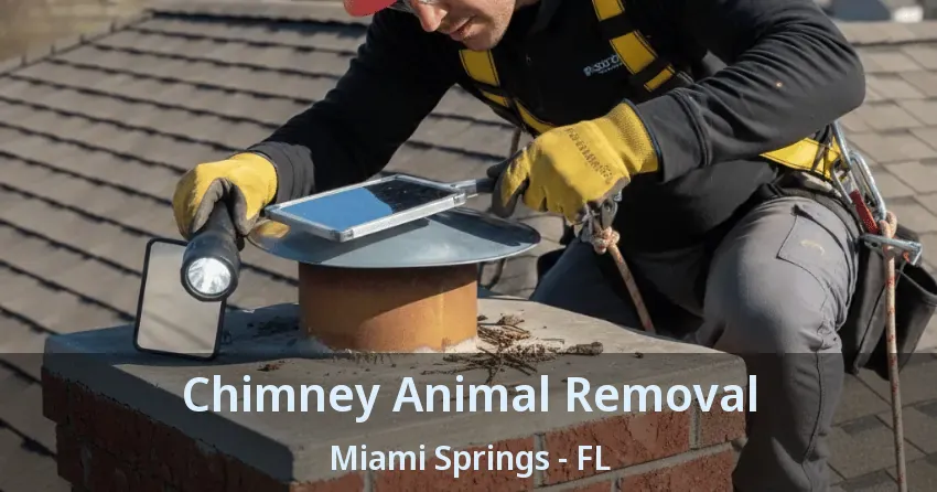 Chimney Animal Removal Miami Springs - FL