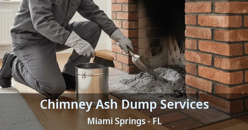 Chimney Ash Dump Services Miami Springs - FL