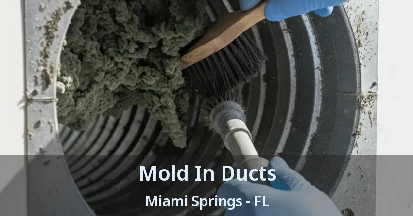 Mold In Ducts Miami Springs - FL
