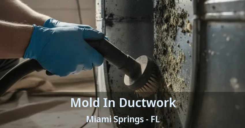 Mold In Ductwork Miami Springs - FL